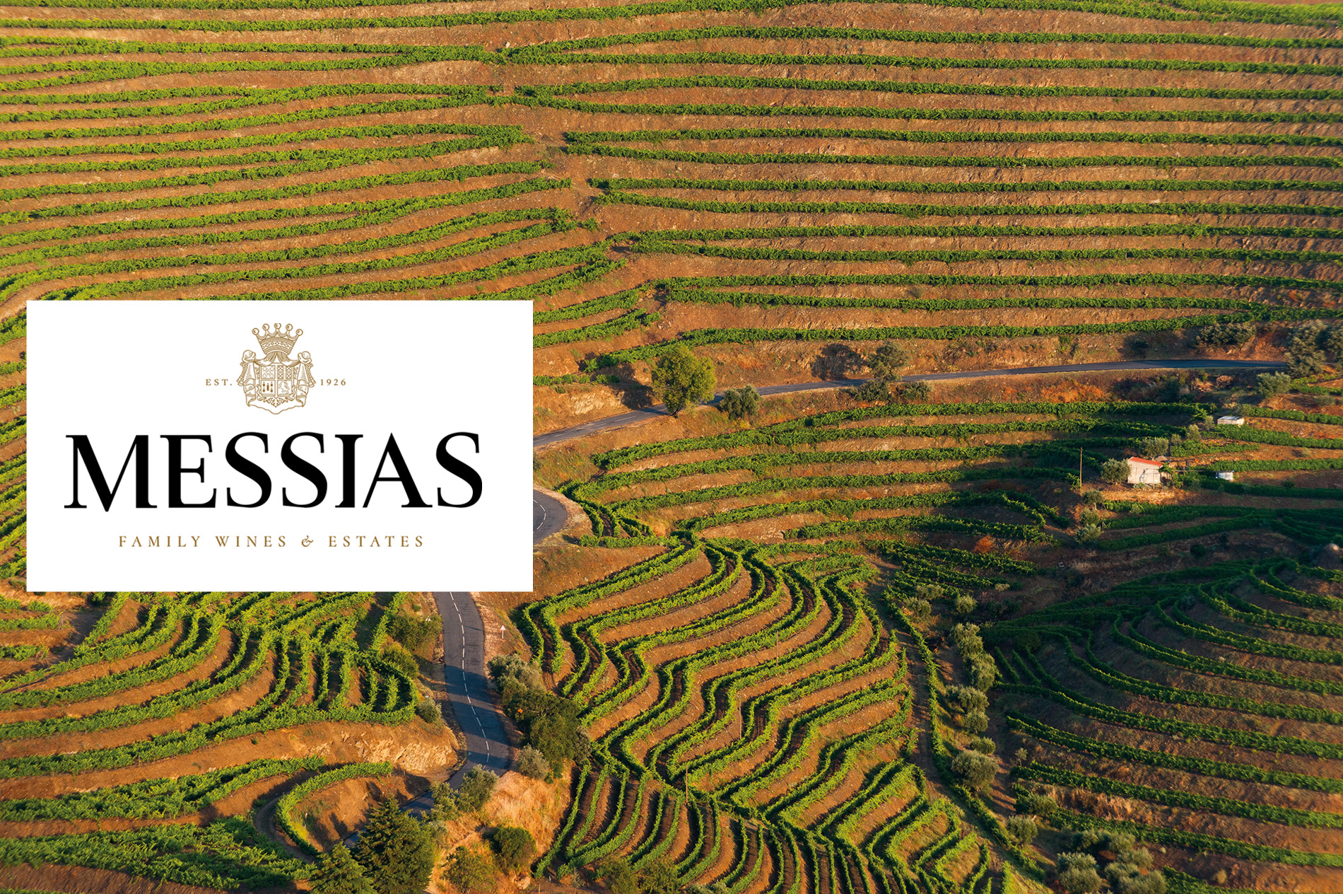 99 Jahre portugiesische Weintradition