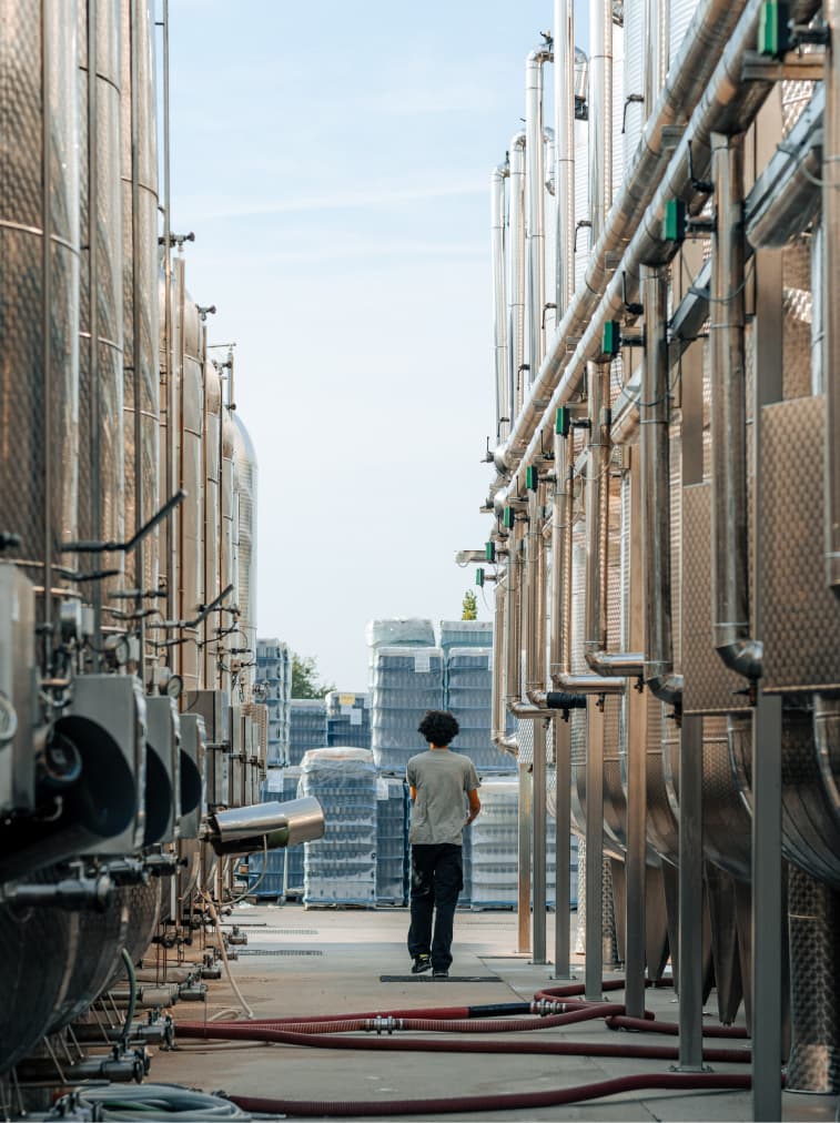 Weinstrasse Adolph GmbH in Köln | Weinhandel & Wein-Direktimporte - Das Beste für den Fachhandel seit 1980 Cantine Colosi