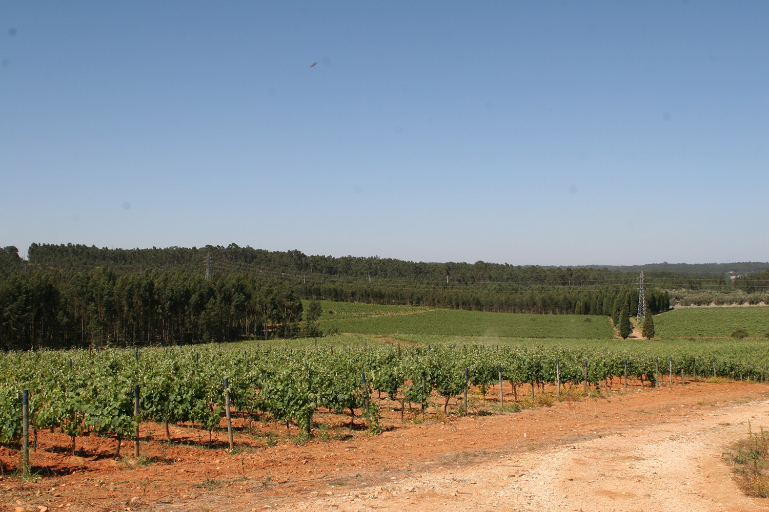 Quinta Do Valdoeiro